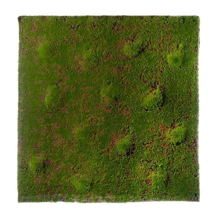 MATTONELLA MUSCHIO 100X100CM